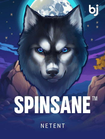 Spinsane™ screenshot